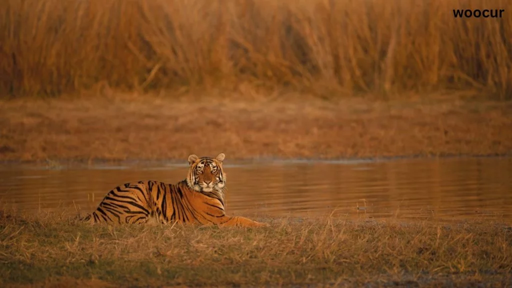 India’s Most Beautiful Places. 7 India's most Beautiful places
