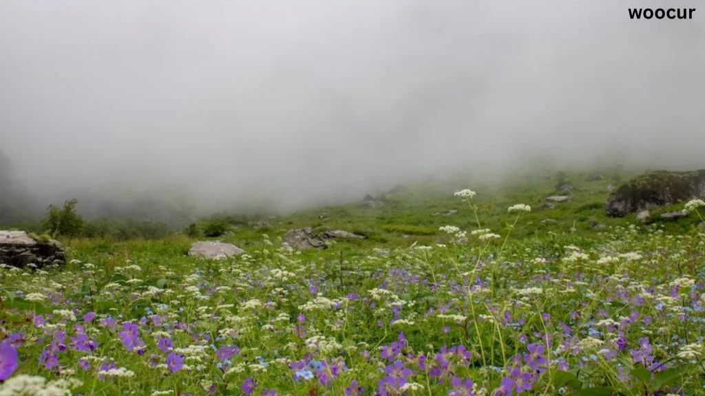 India’s Most Beautiful Places. 4 India's most Beautiful places