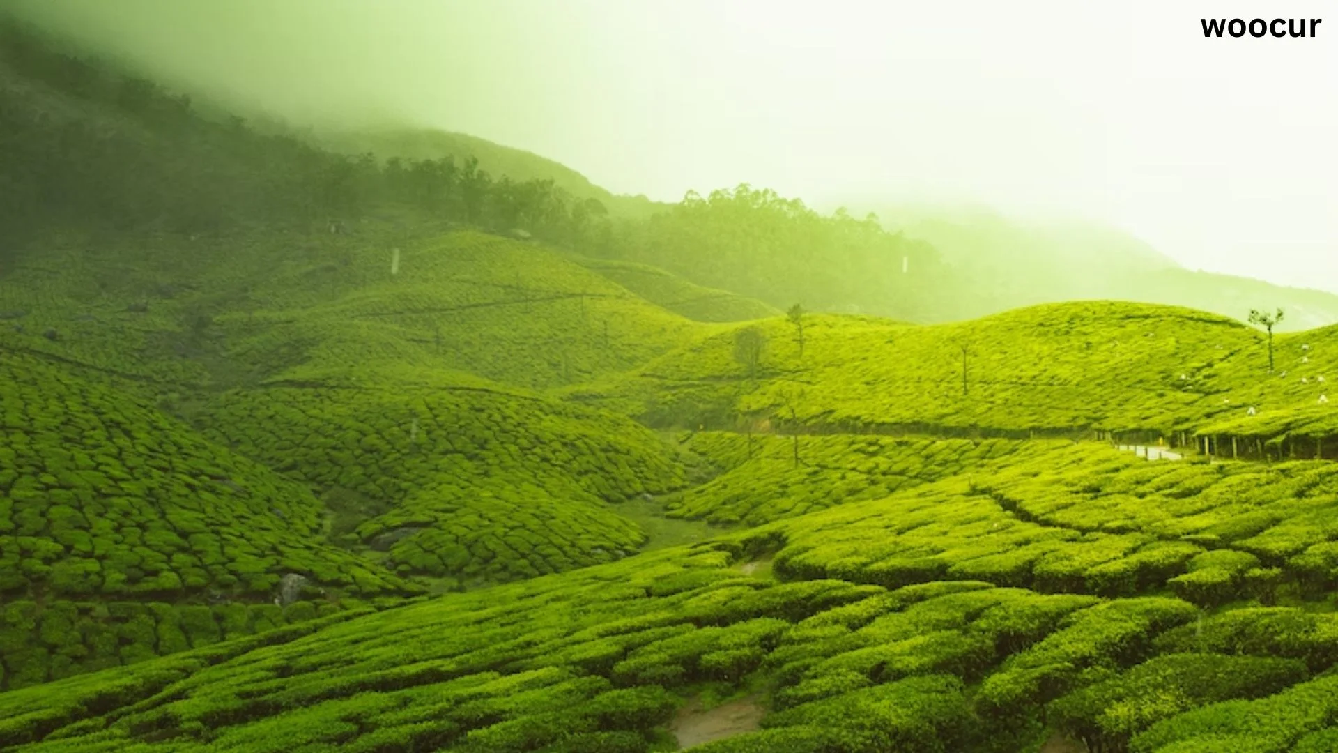 India’s most beautiful places