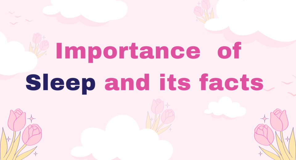 Sleep: Importance, Facts For A Healthy Lifestyle 3 Sleep