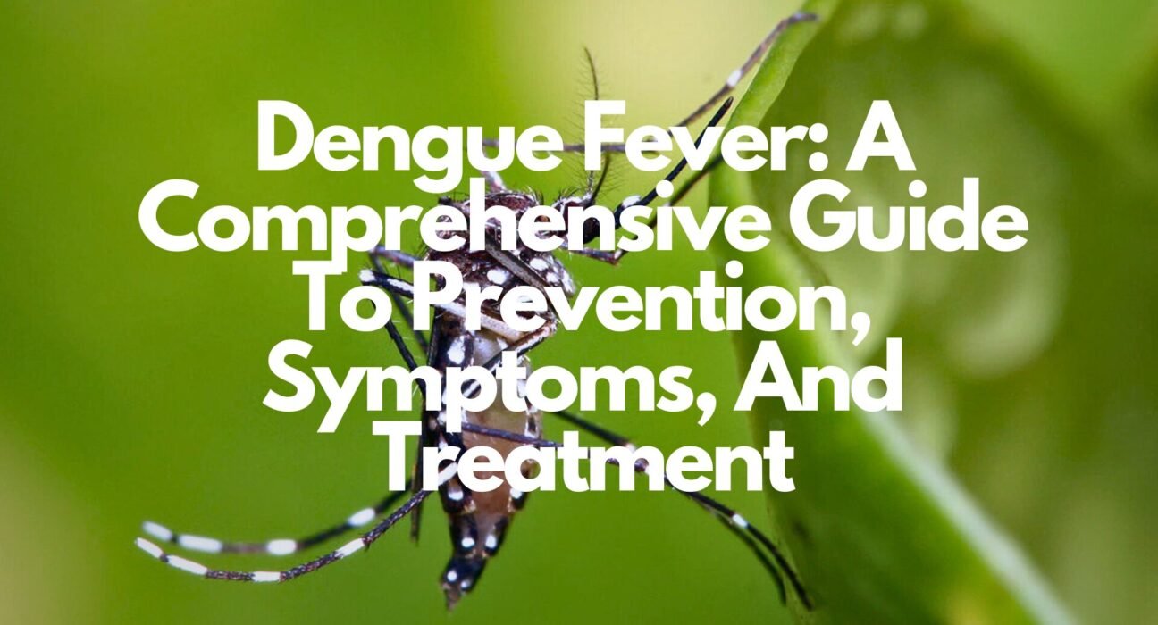 Understanding Dengue Fever: A Comprehensive Guide To Prevention, Symptoms, And Treatment 1 Dengue